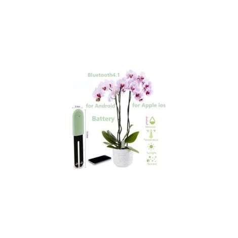 Capteur d'humidité du sol intelligent Bluetooth, humidimètre et moniteur de température pour plantes d'intérieur et jardinage