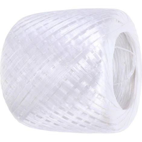 Corde d'emballage Plastique Blanche 1 Kg Rouleau, Ficelle Tressée Multifonction Industrielle pour Cerclage, Emballage de Boîtes et Expédition, Résistance Lourde et Surface Lisse (1/5)