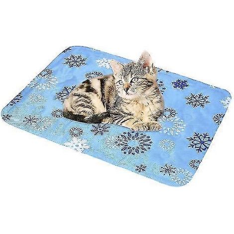 Tapis rafraîchissant pour animaux, tapis rafraîchissant pour chien, matelas pour chat (3040cm) (1/5)