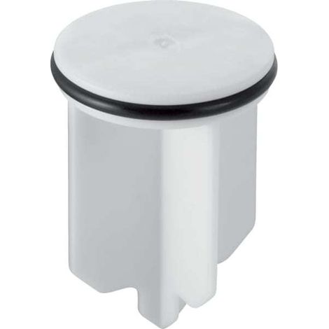 Ventilkegel mit O-Ring 241399 (1/5)