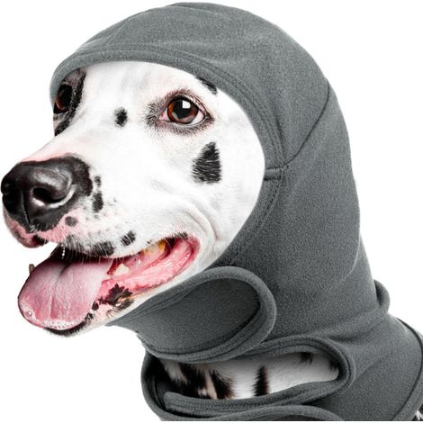 articolo ,Fascia calmante per cani, collare anti-ansia per cani, rilassante, scaldacollo/fascia per la testa contro i temporali, L (1/5)
