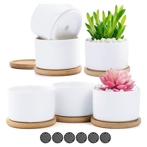 6pcs Pot de Succulent en Céramique Blanc Pots de Fleurs Petit Pot Conteneuravec Plateau en Bamboo pour Fleur Plante Herbe Cadeau pour Mariage Noel Anniversaire (1/5)