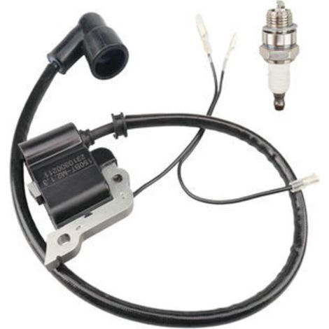 Bobine d'allumage haute tension compatible avec 150BT, 350BT, 150BF, 350BF Souffleur avec bougie (1/5)