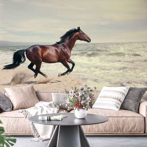 Papier peint panoramique - Cheval Mer - 130 cm x 88 cm (1/4)