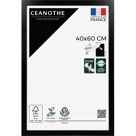 Cadre Photo Noir 40x60 cm et 60x40 cm - Convient au A3 – Cadre pour Photo 40x60 cm, Affiche ou Poster - Cadre Photo Eternel Noir 40x60 cm - Fabriqué en France - Verre acrylique Incassable (1/5)