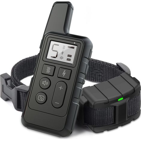 Collier de dressage pour chien — Collier électrique avec télécommande et 4 modes d'entraînement, étanchéité IP68, rechargeable — Pour chiens de races moyennes et grandes