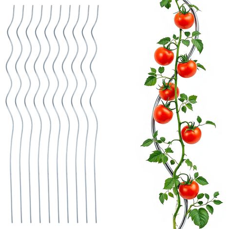 Tomaten Spiralstab verzinkt 110 cm - 10er Set - Metall Rankstab für Tomatenpflanzen