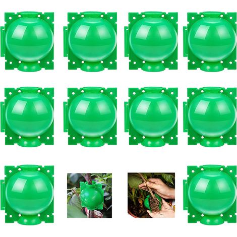 Greffeur de boules de propagation sous pression pour branches de jardin, paquet de 10 (grand/vert) (1/5)