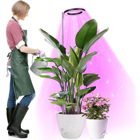 Lampe de Croissance à Spectre Complet pour Les Grandes Petites Plantes (1/5)