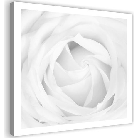 Tableau sur toile Plante fleur de rose blanche 40x40 (1/5)