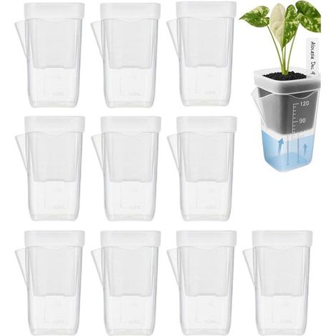 Dix mini-pots transparents à réserve d'eau et munis de trous de drainage - parfaits pour les plantes d'intérieur et d'extérieur (1/5)