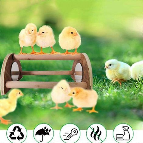 Perchoir pour poussins en bois avec miroir, jouet d'entraînement pour petits poussins (1/4)
