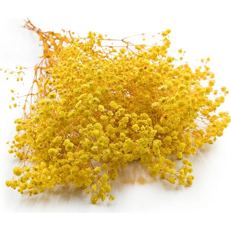 Gypsophila estabilizada - (Gypsophila) - Ramo real - Amarillo