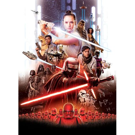 papier peint panoramique Star Wars Ep 9 multicolore - Disney (1/2)