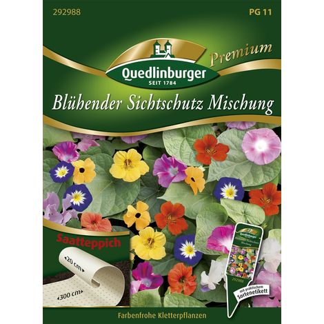 Quedlinburger Saatgut – Écran fleuri en mélange – Tapis de semis, plantes grimpantes, pour env. 0,6 m², 150-200 cm (1/2)