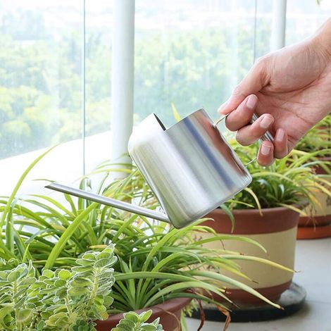 Annaffiatoio in acciaio inox con beccuccio lungo, di piccole dimensioni, adatto per piante grasse e fiori, per uso interno ed esterno. (1/4)