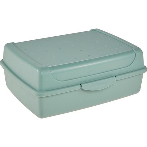 KEEEPER KÜHLBOX MIT KLICKVERSCHLUSS, 17 X 13 X 7 CM, 1 L, LUCA MIDI, NORDIC GREEN 1069331500000 (1/5)