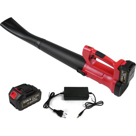Souffleur de feuilles électrique portatif 21 V, moteur puissant de 21 V, idéal pour l'entretien des pelouses 6 vitesses, batterie haute capacité et chargeur inclus (1/5)