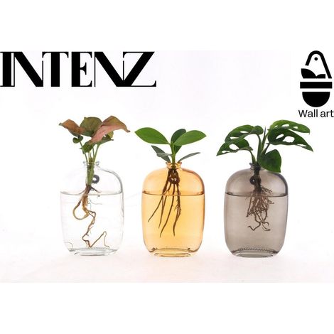 Plantes d’Intérieur Assorties en Support Mural Verre - Lot de 3 - Pot 7 cm - Hauteur 10 cm - PANGIVO