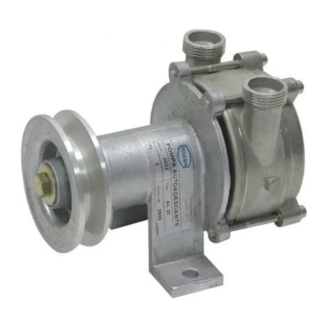 Pompe liquide alimentaire a poulie inox RENSON (1/2)