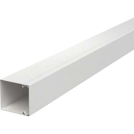 OBO Bettermann Canalización para cables con perforación en la base 60x60x2000 Acero cincado continuo / revestido de plástico blanc..., 6248608