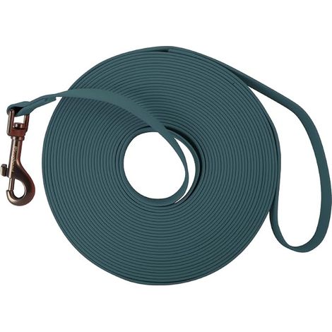 Longe pour Chien,Laisse pour Chien avec poignée et Sac de Rangement, Laisses de Dressage étanches pour Chiens,1.5m/3m/5m/10m/15m Longe Robuste pour Petits, Moyens et Grands Chiens(Vert foncé, 5 M) (1/5)