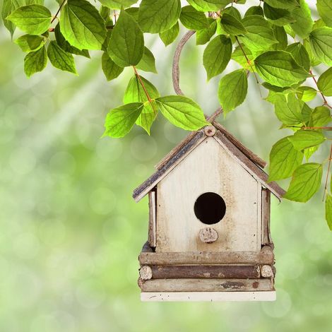 Nichoir décoratif suspendu pour oiseaux, plusieurs modèles disponibles, fixation murale, pièce unique pour jardin et balcon (1/5)
