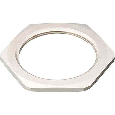 Ecrou ISO16 N CAPRI CAP221694 (1/2)