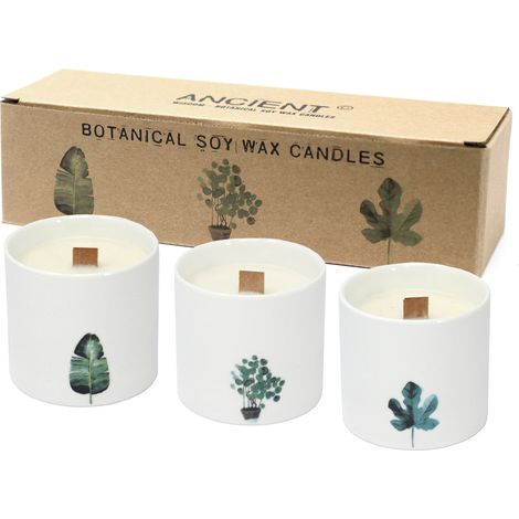 Grandes Bougies Botaniques - Pivoine Victorienne- Vendu par 3 (1/4)