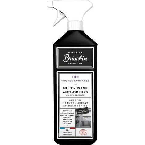 Briochin Multiuso Antiodori 750ml - Maison Briochin