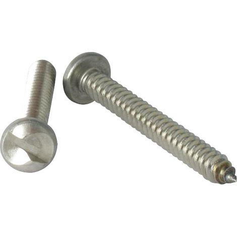 Vis tôle Inviolable Tête cylindrique TC One way 3.5X13 Inox A2-1 pièce