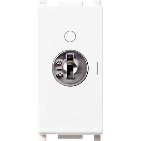14083 Interruptor 2P 16Ax + Llave Blanco Plana (1/4)