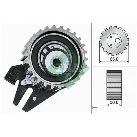 Steuerspanner Fiat Ducato 06 2.0 JTD (1/3)