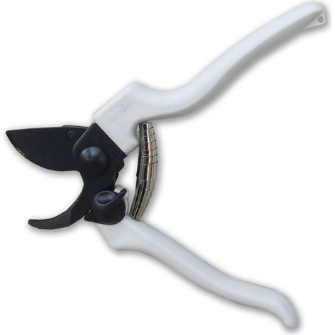 Ausonia 31145 Forbice Vigna 19cm Teflon