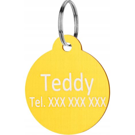 Placa con nombre para perro y gato, colgante grabado para perro y gato, llavero dorado (1/5)