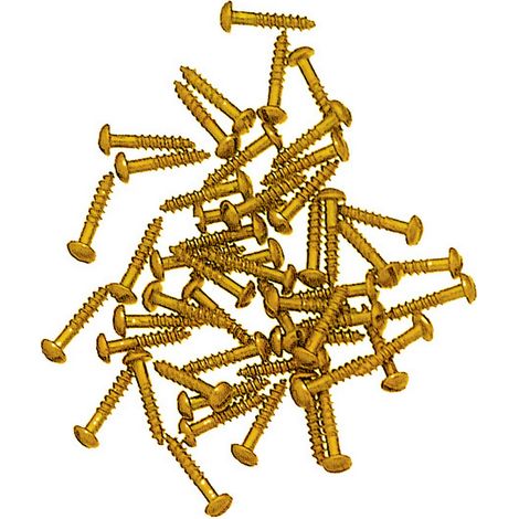 100PZ VITI FERRO OTTONATO A LEGNO TESTA BOMBATA 2X10 (1/2)