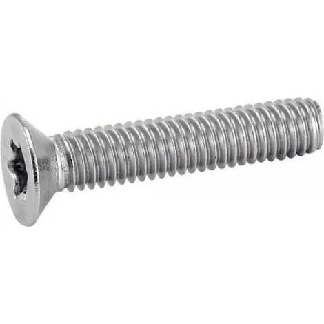 Vis euromarine iso 14581 a4 m6x16 mm tête fraisée torx