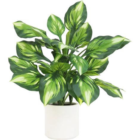 Dieffenbachia camilla artificiel toucher naturel 65cm (1/4)
