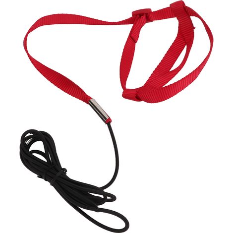 Laisse pour oiseau résistante aux morsures, réglable, pour l'entraînement au vol des perroquets, idéale pour les promenades et les fêtes (Rouge XS) (1/5)