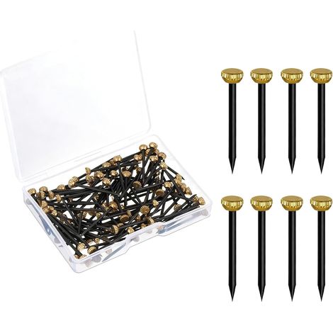 100 Pièces Clous à Tête Laiton Clous pour Béton 1.3x25mm avec Boîte de Rangement Tête Dorée et Acier Noir pour Cadres Photos et Tableaux Muraux (1/5)