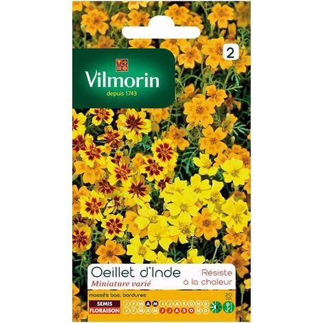 Sachet graines Oeillet d'inde miniature varié ( Tagetes signata)