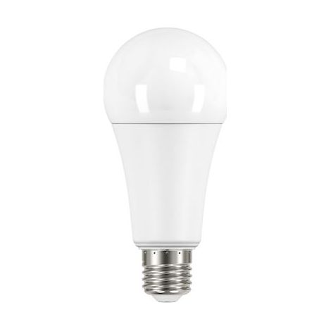 ampoule à led - standard - e27 - 16w - 2700k - a67 - 20008