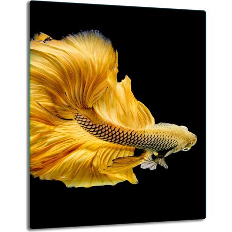 Glasplatte, Tischplatte, 40x52 Fisch (1/5)