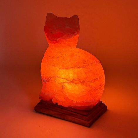 Lampada di Sale Himalayano Rosa naturale a forma di Gatto 3Kg (1/2)