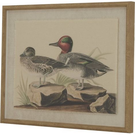 Flora & Fauna Collection Teals on Linen in Beaded Frame - Glass - L2 x W40 x H50 cm - Brown