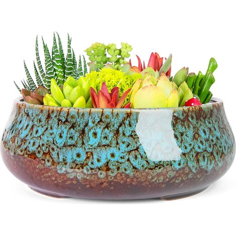 Pots de Plantes Grasses – 20,3 cm – Grand Pot de bonsaï avec Drainage – Pots en céramique pour Plantes d'intérieur et d'extérieur – Pot Rond Peu Profond pour Plantes de Cactus et Fleurs de (1/5)