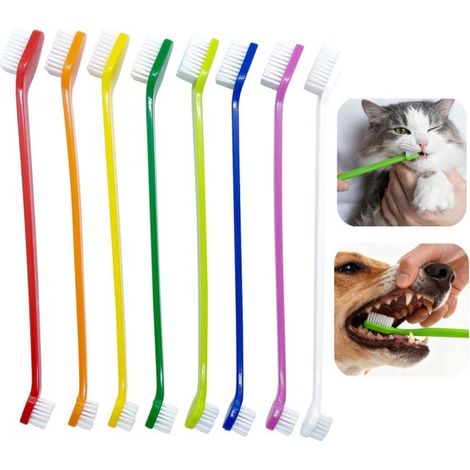 Brosses de nettoyage pour chiens Brosse à dents pour chats Brosses dentaires Brosse souple à double extrémité (22 x 1,8 cm Couleurs variées) (1/5)