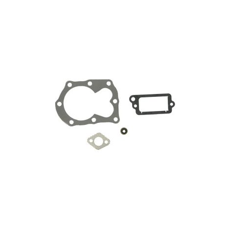 Jeu de joints briggsstratton