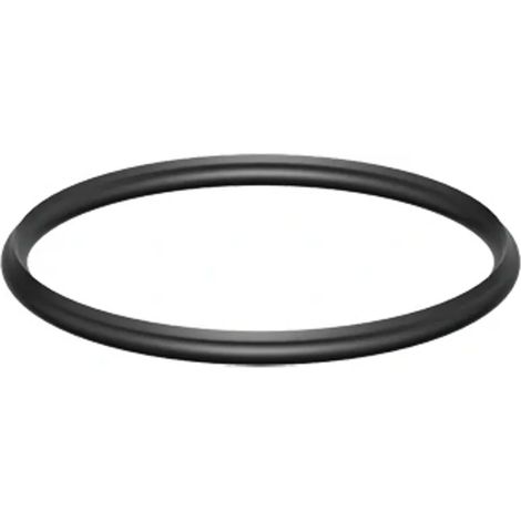 ACO Abdichtring D175/ H10, 5084.90.00