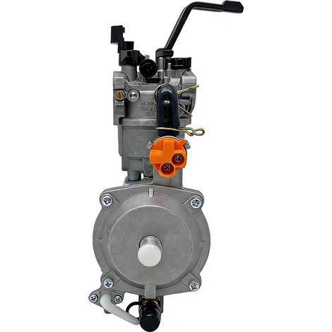 Vergaseur Double Carburant Pour Générateur - Compatible Gaz Et Essence - Modèle Manuel - Pièce De Rechange 2900168 (1/5)